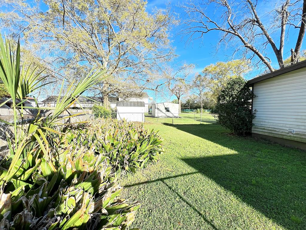 505 Cleveland Street, Headland, Alabama image 4