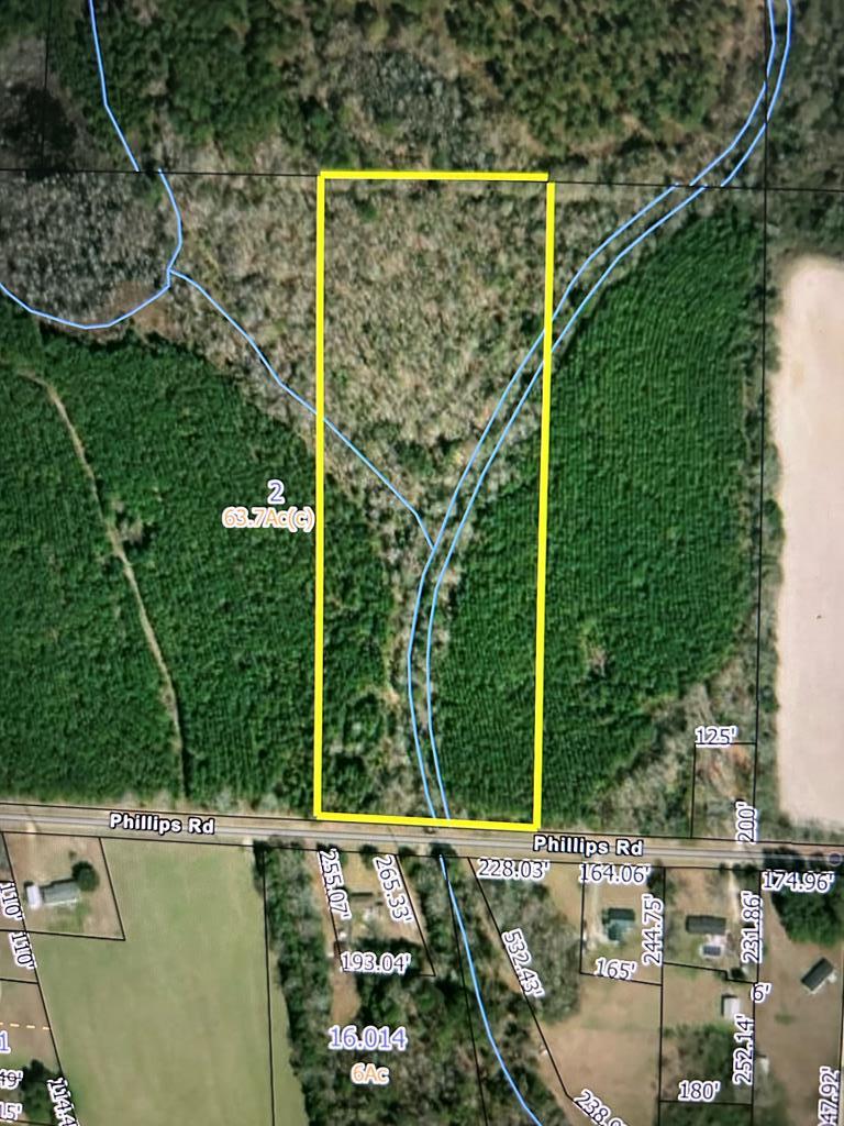 9 +-ac (Lot 2) Phillips Rd, Cottonwood, Alabama image 1