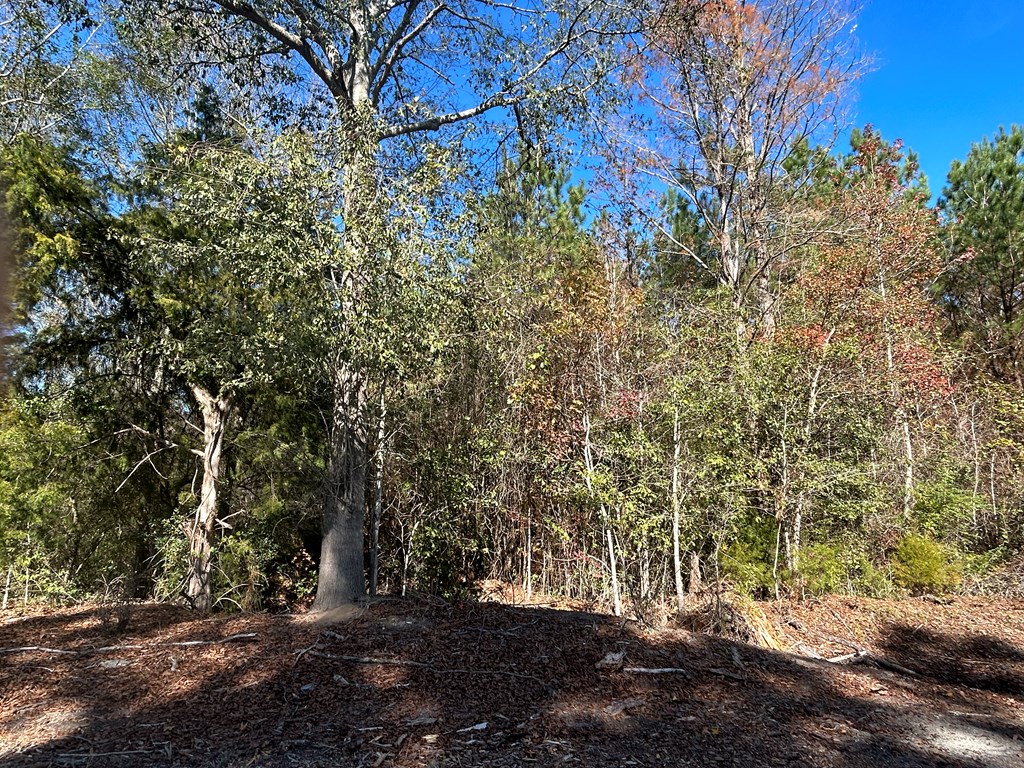 9 +-ac (Lot 2) Phillips Rd, Cottonwood, Alabama image 18