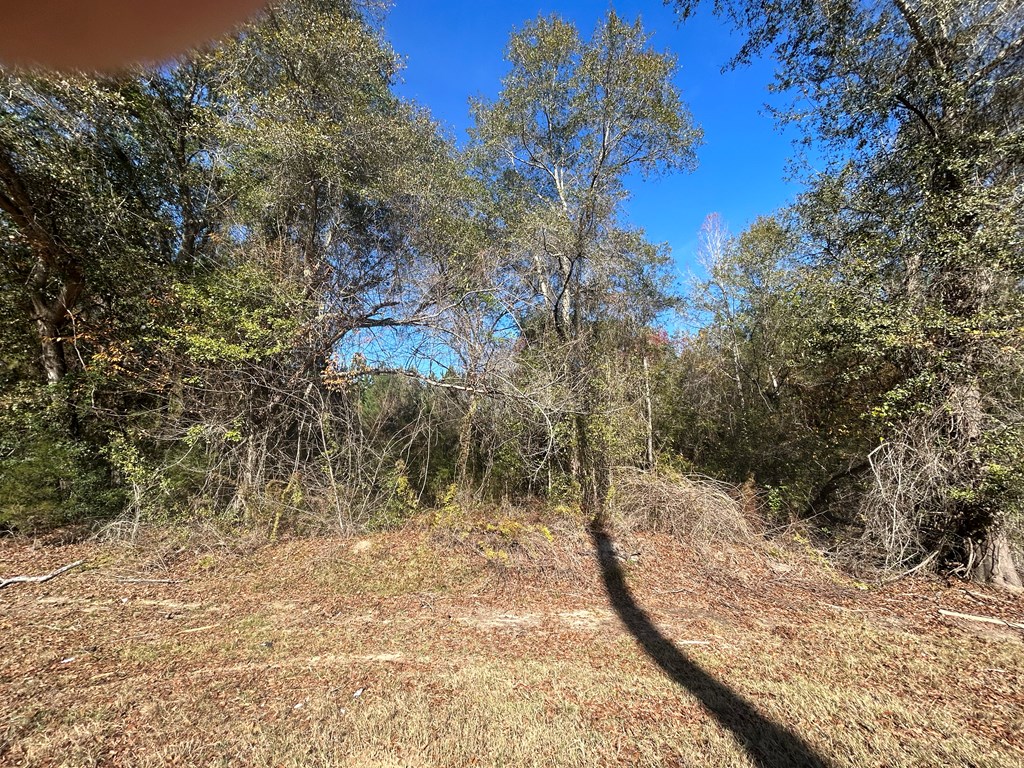 9 +-ac (Lot 2) Phillips Rd, Cottonwood, Alabama image 14