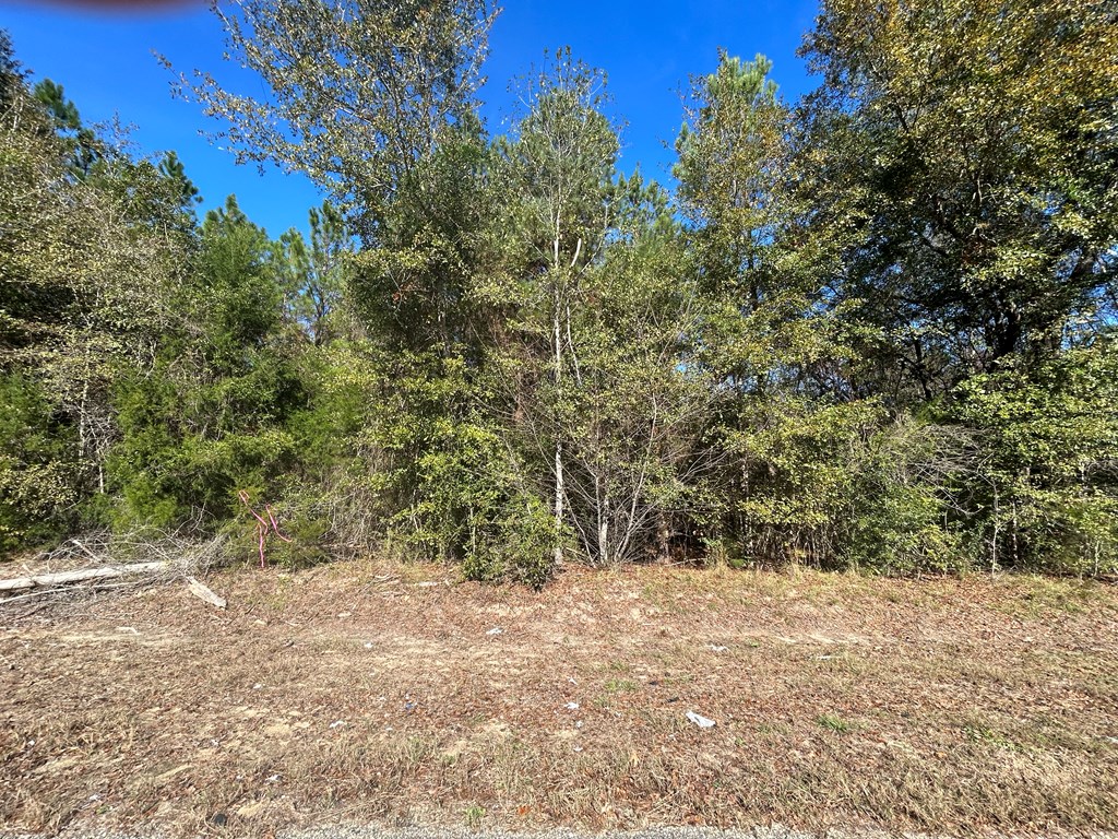 9 +-ac (Lot 2) Phillips Rd, Cottonwood, Alabama image 12