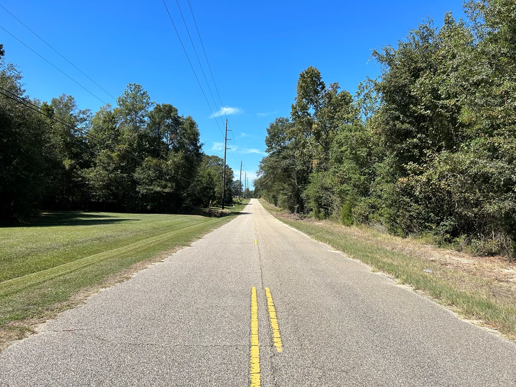 9 +-ac (Lot 2) Phillips Rd, Cottonwood, Alabama image 6