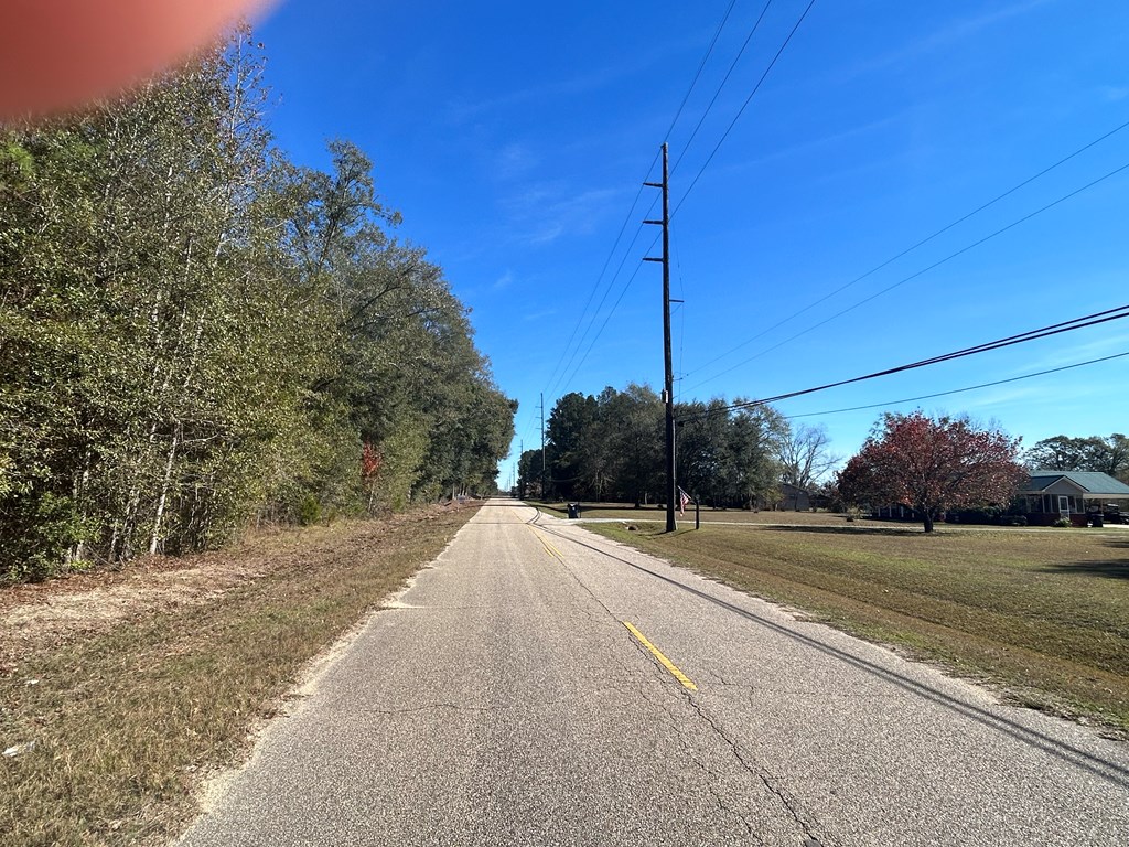 9 +-ac (Lot 2) Phillips Rd, Cottonwood, Alabama image 7