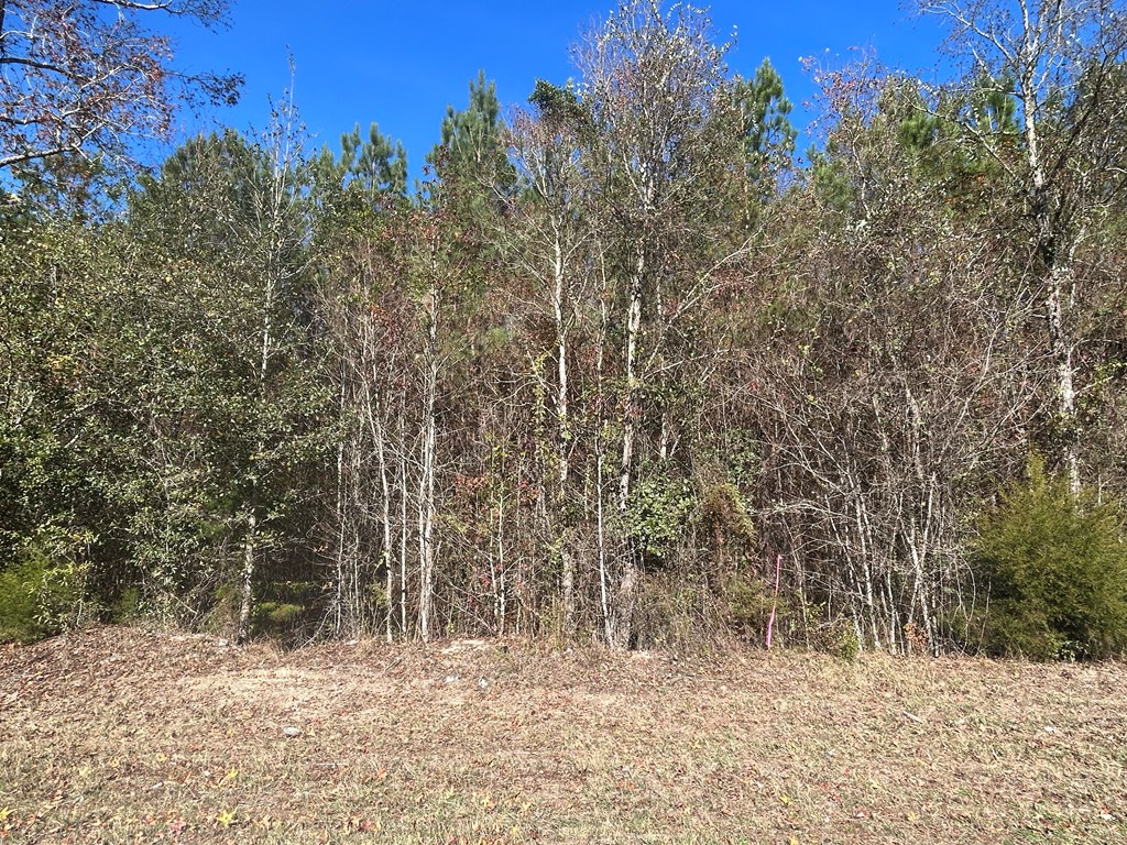 9 +-ac (Lot 2) Phillips Rd, Cottonwood, Alabama image 20