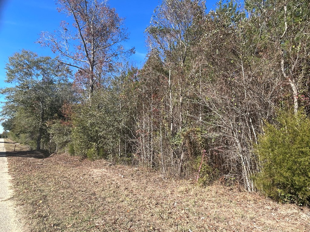 9 +-ac (Lot 2) Phillips Rd, Cottonwood, Alabama image 21