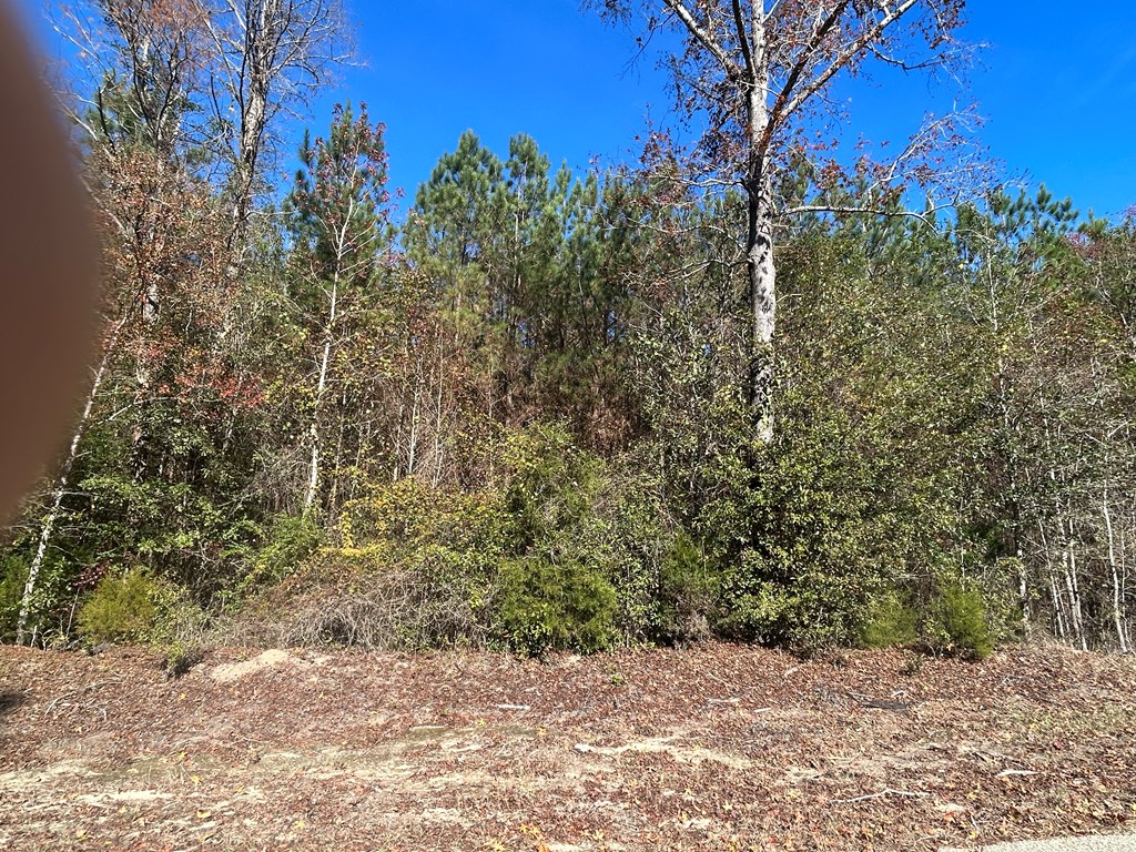 9 +-ac (Lot 2) Phillips Rd, Cottonwood, Alabama image 19