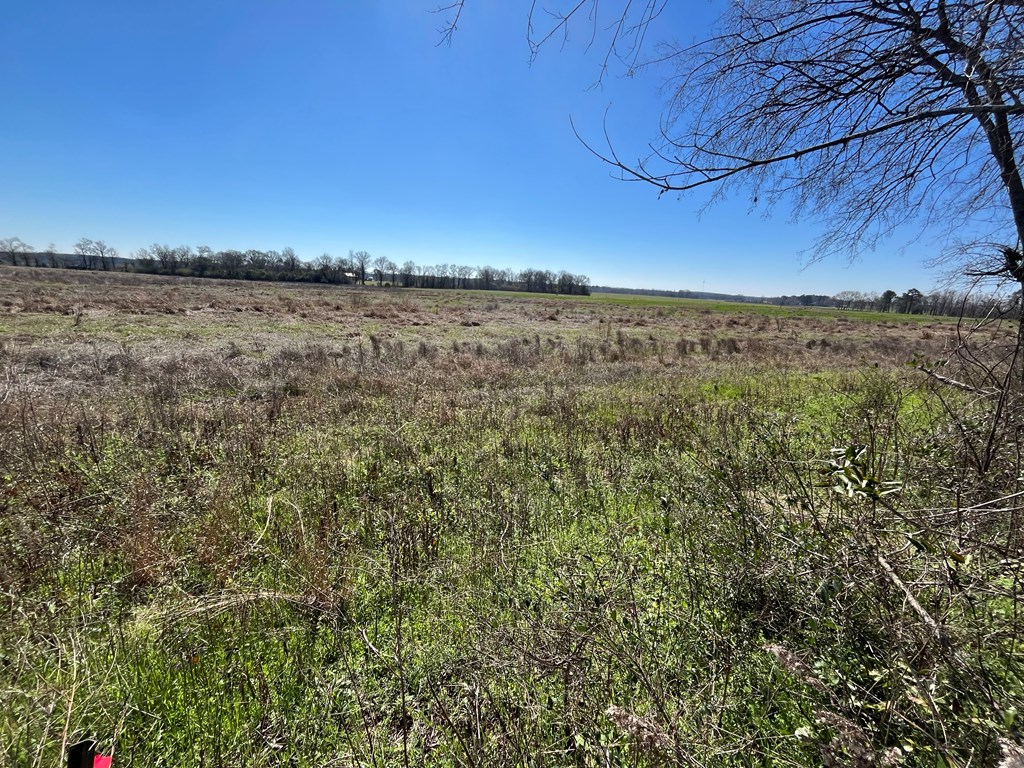 Lot 3 County Road 92 Avenue, Slocomb, Alabama image 8