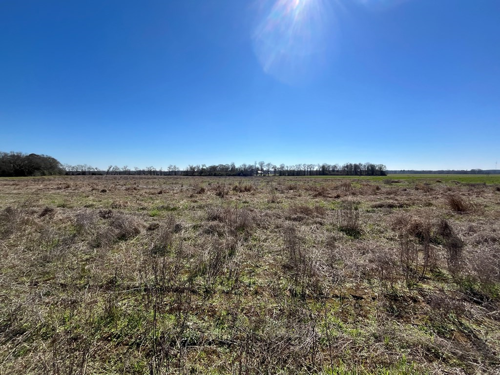 Lot 3 County Road 92 Avenue, Slocomb, Alabama image 7