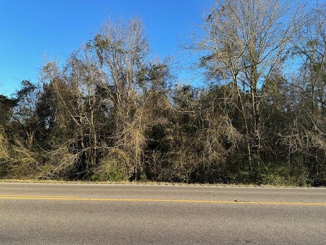 S State Highway 109, Lot 1, Dothan, Alabama image 1