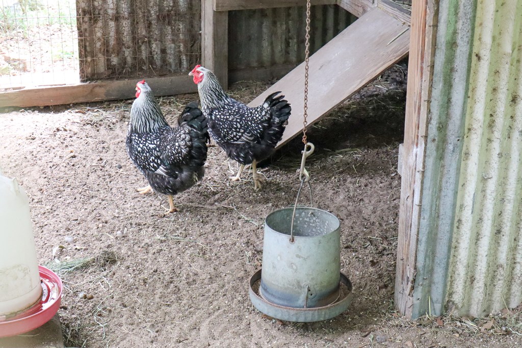 Daleville, Alabama 36322, United States, 2 Bedrooms Bedrooms, ,1 BathroomBathrooms,Residential,Pending,250594