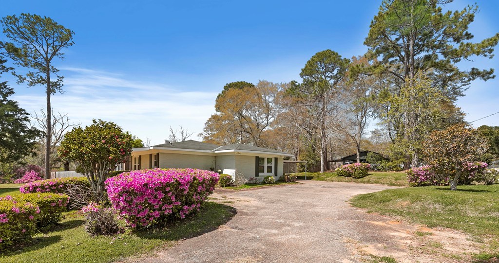 3310 County Road 203 Hwy, Dothan, Alabama image 43