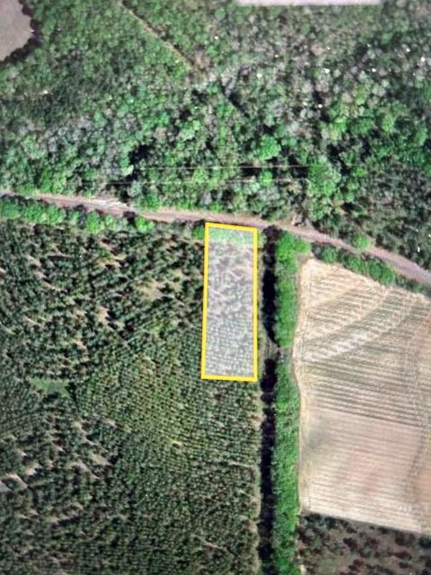 Slider Thumb