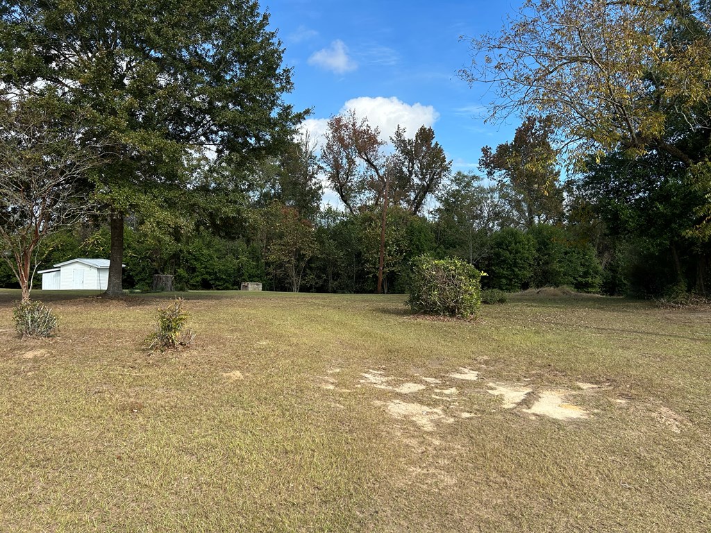 2116 Main St (cty Rd 95), Gordon, Alabama image 29