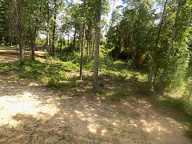 218 Little Oak Court, Dothan, Alabama image 10