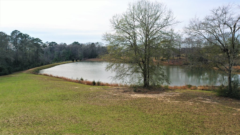 306 Squirrel Hollow, Enterprise, Alabama image 24