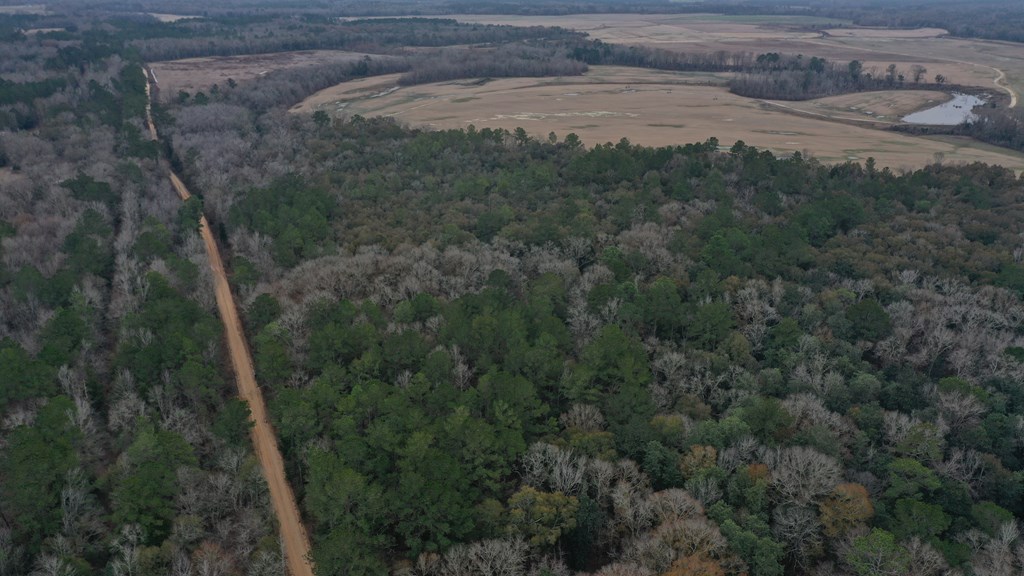 15.05 +/- Pera Rd, Samson, Alabama image 4
