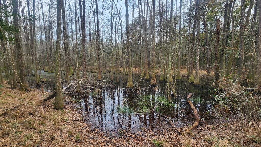 15.05 +/- Pera Rd, Samson, Alabama image 24