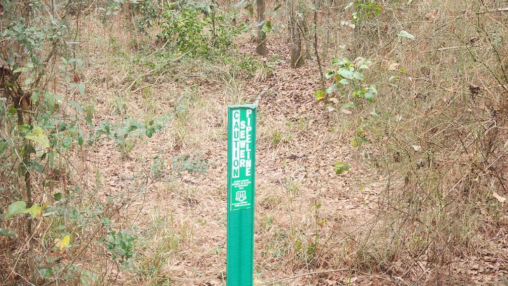 15.05 +/- Pera Rd, Samson, Alabama image 29