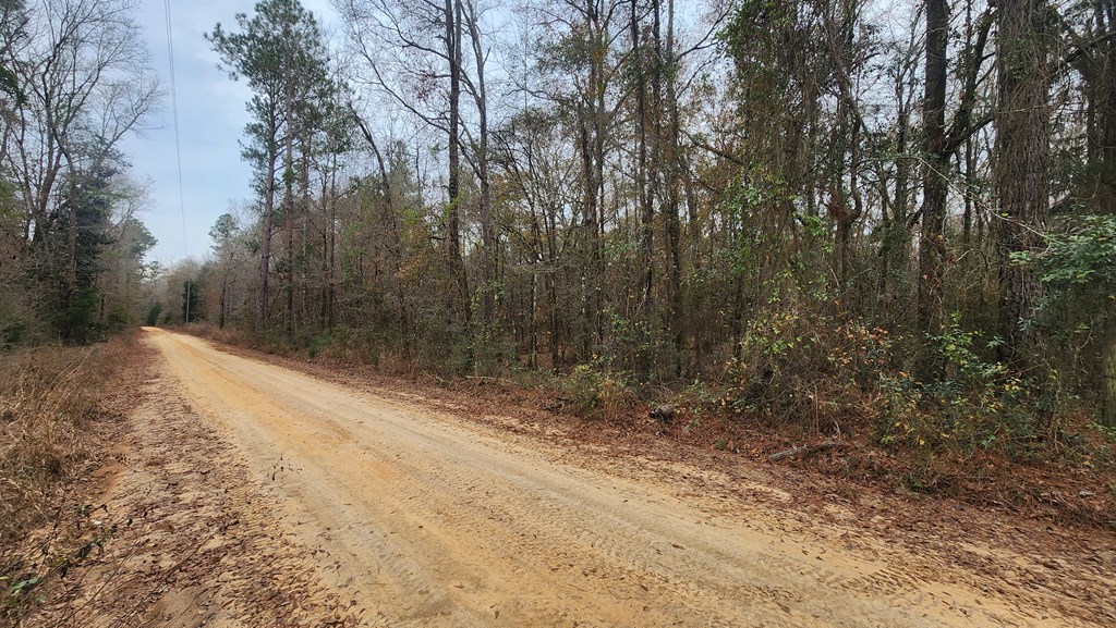 15.05 +/- Pera Rd, Samson, Alabama image 6