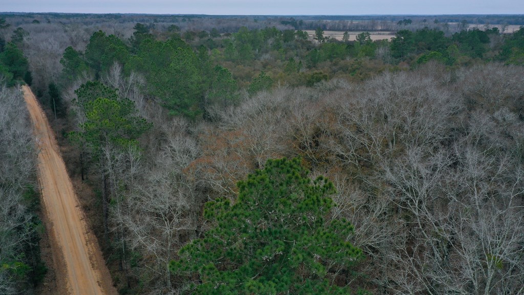 15.05 +/- Pera Rd, Samson, Alabama image 11