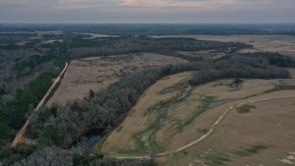 15.05 +/- Pera Rd, Samson, Alabama image 15