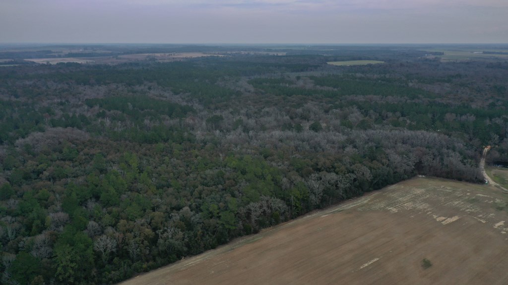 15.05 +/- Pera Rd, Samson, Alabama image 14