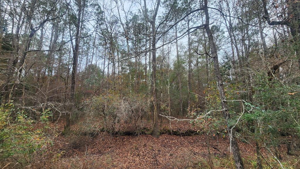 15.05 +/- Pera Rd, Samson, Alabama image 22