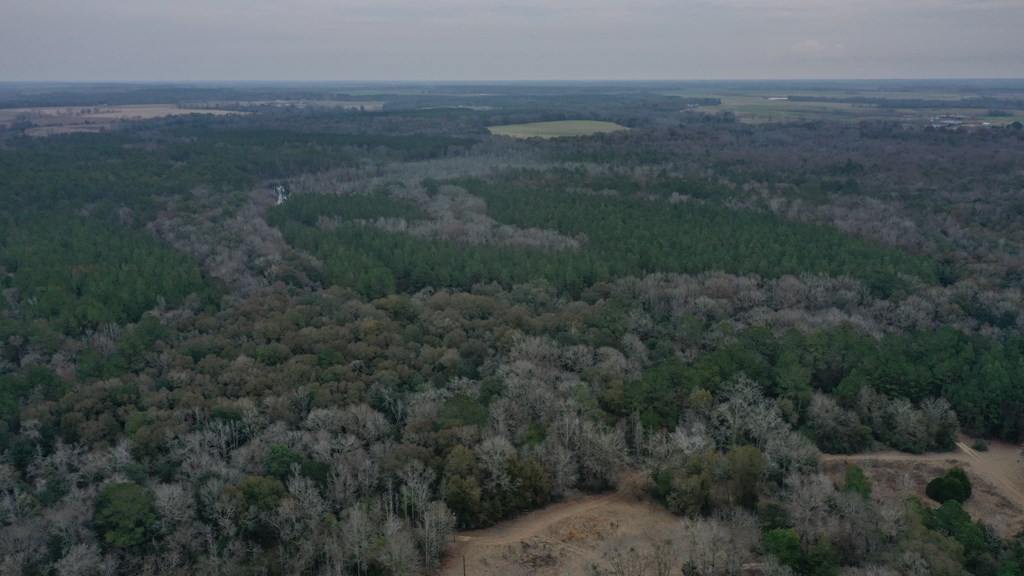 15.05 +/- Pera Rd, Samson, Alabama image 16