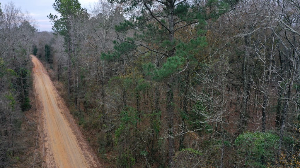 15.05 +/- Pera Rd, Samson, Alabama image 9