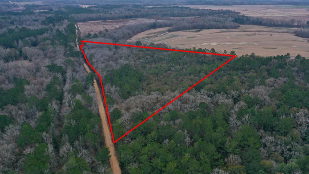 15.05 +/- Pera Rd, Samson, Alabama image 1