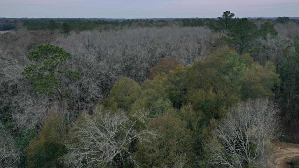 15.05 +/- Pera Rd, Samson, Alabama image 17