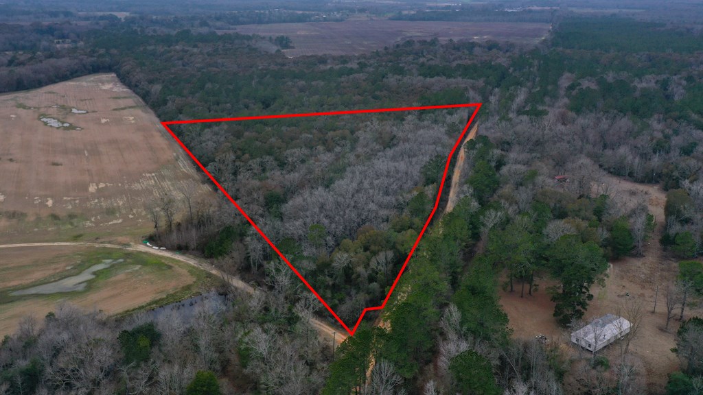 15.05 +/- Pera Rd, Samson, Alabama image 2