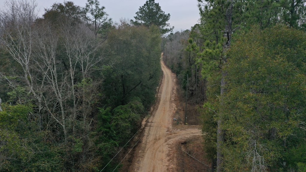 15.05 +/- Pera Rd, Samson, Alabama image 8