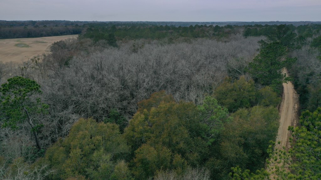 15.05 +/- Pera Rd, Samson, Alabama image 10