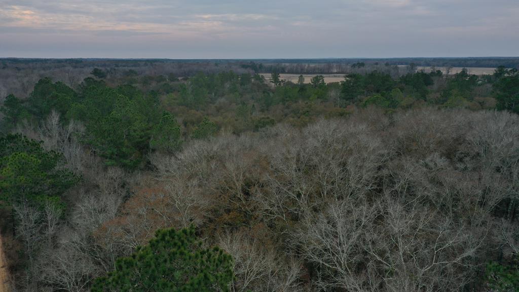 15.05 +/- Pera Rd, Samson, Alabama image 18