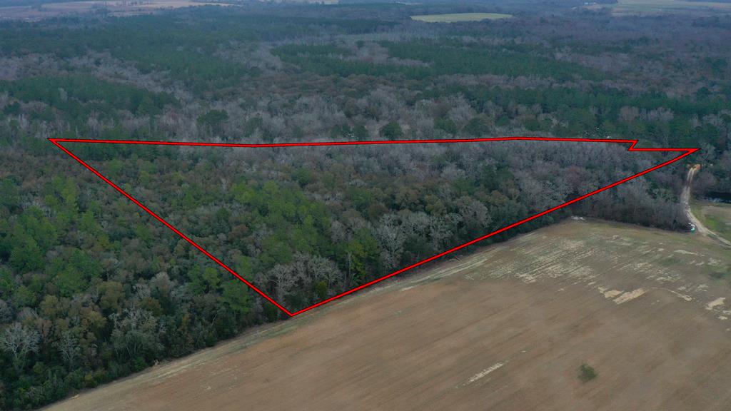15.05 +/- Pera Rd, Samson, Alabama image 3