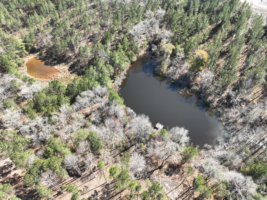 Highway 69, Skipperville, Alabama image 8