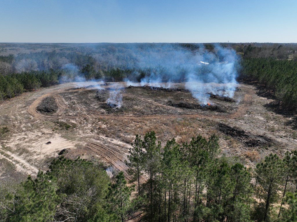 Highway 69, Skipperville, Alabama image 5