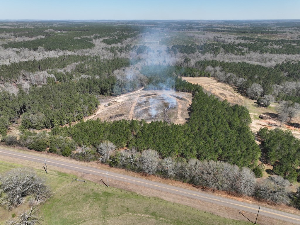 Highway 69, Skipperville, Alabama image 3