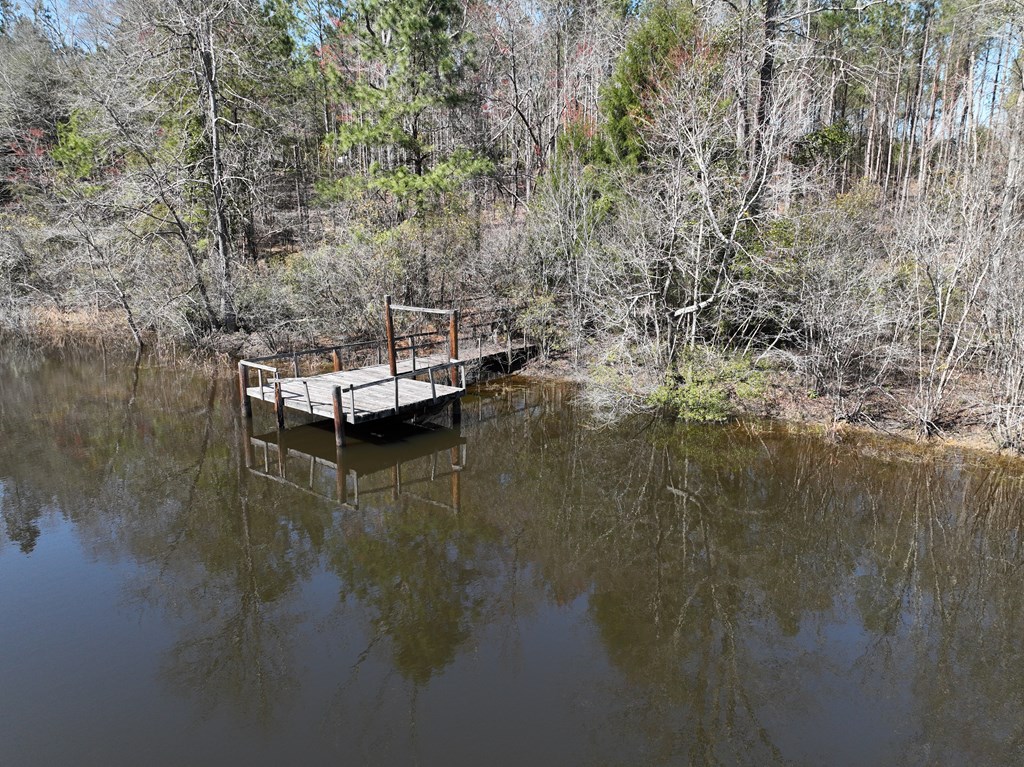 Highway 69, Skipperville, Alabama image 9