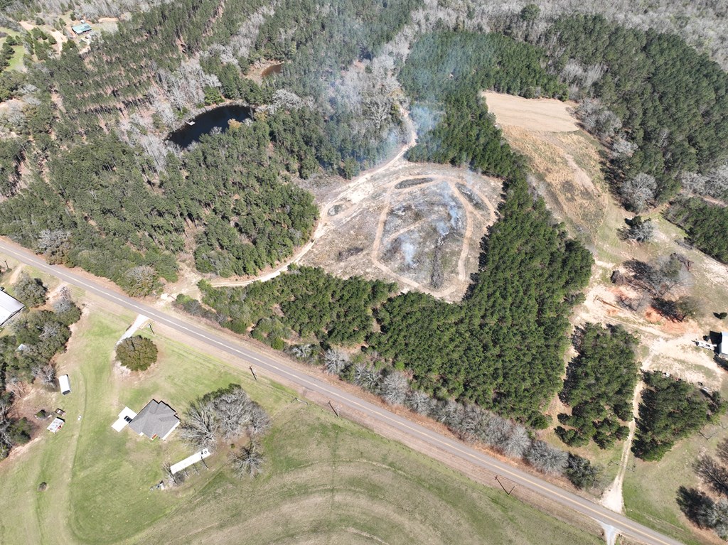 Highway 69, Skipperville, Alabama image 2