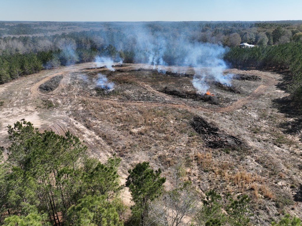 Highway 69, Skipperville, Alabama image 6