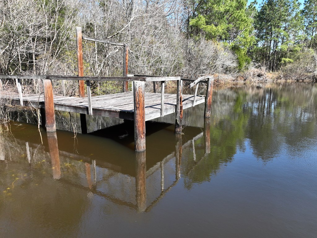Highway 69, Skipperville, Alabama image 11