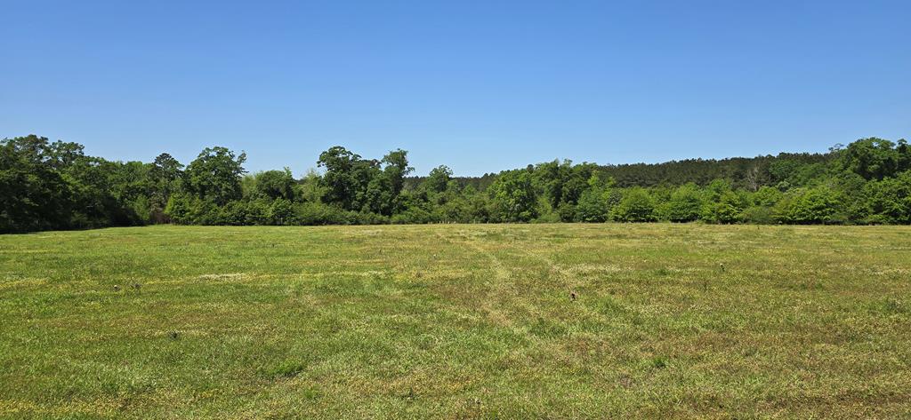 Lot 2 3 Acres South Park Rd, Slocomb, Alabama image 5