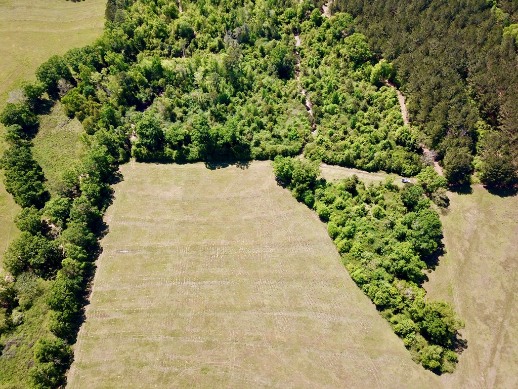 Lot 2 3 Acres South Park Rd, Slocomb, Alabama image 9