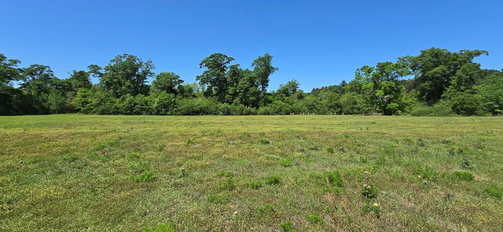 Lot 2 3 Acres South Park Rd, Slocomb, Alabama image 6
