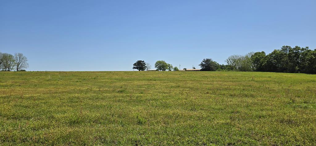 Lot 2 3 Acres South Park Rd, Slocomb, Alabama image 7