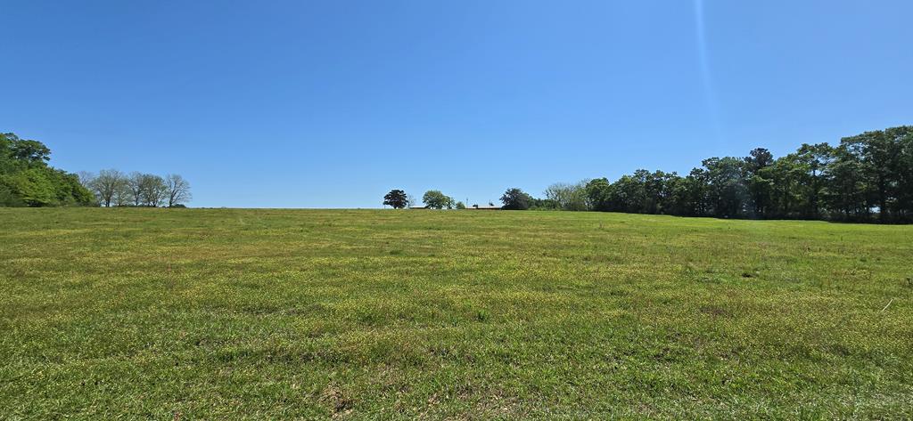 Lot 2 3 Acres South Park Rd, Slocomb, Alabama image 8