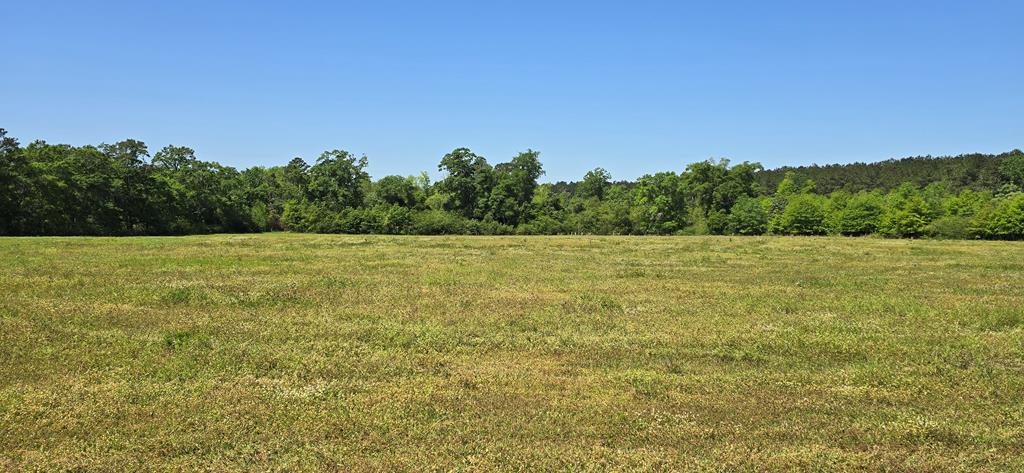 Lot 2 3 Acres South Park Rd, Slocomb, Alabama image 4