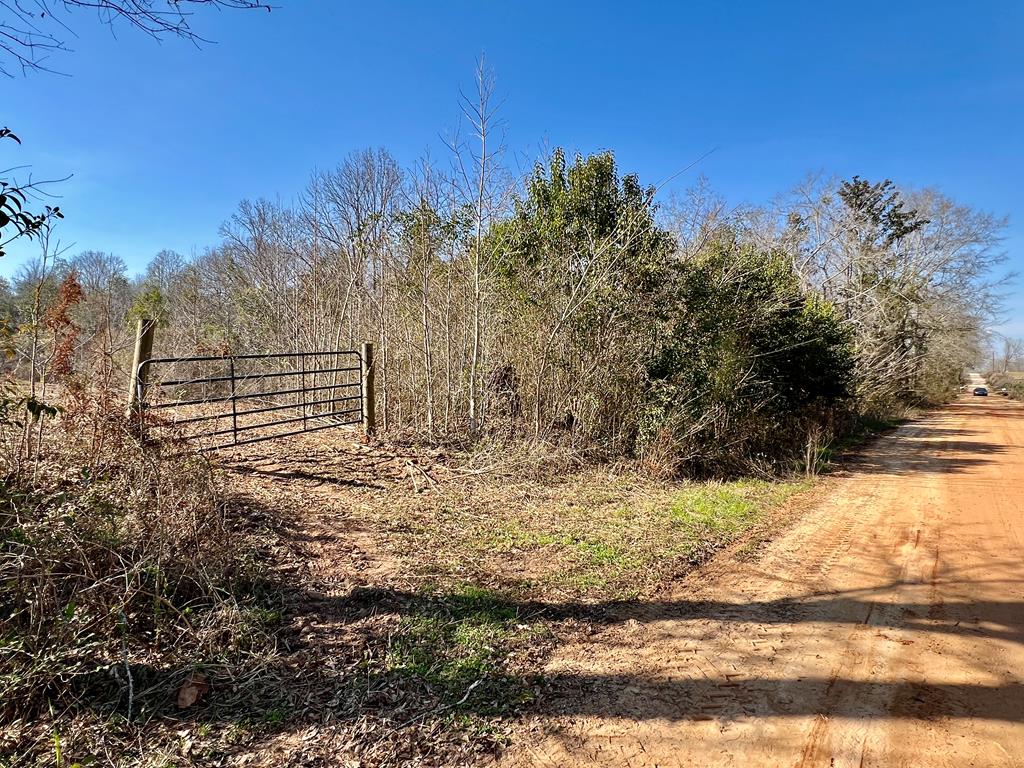 3ac Morris North St, Slocomb, Alabama image 17